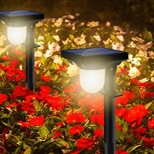 Outdoor Garden Solar Lights