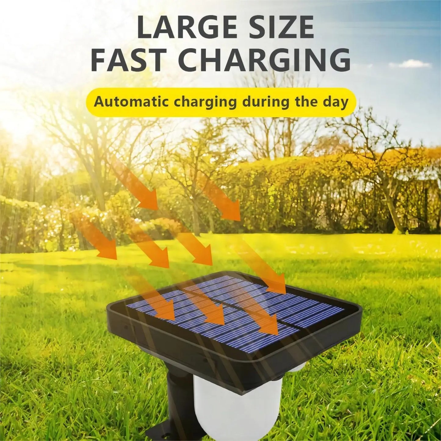 Outdoor Garden Solar Lights