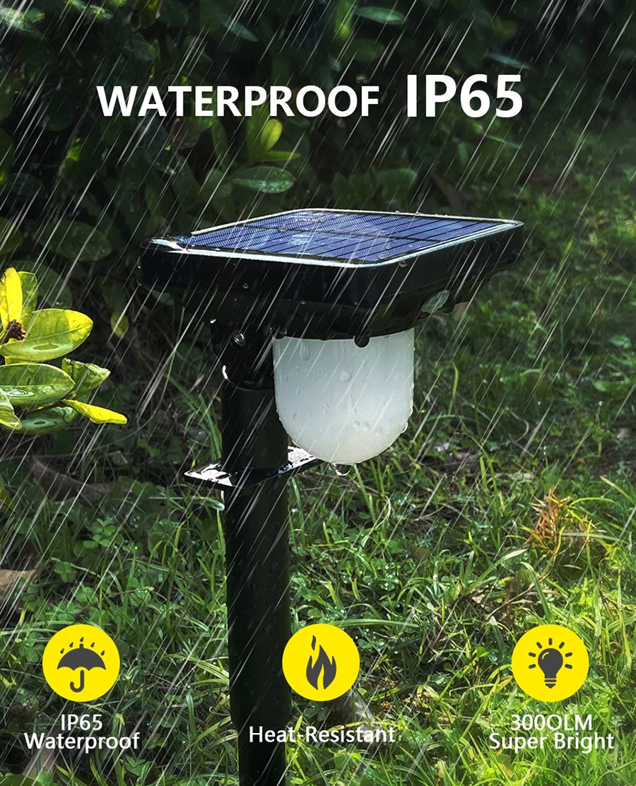 Outdoor Garden Solar Lights