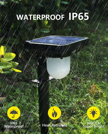 Outdoor Garden Solar Lights